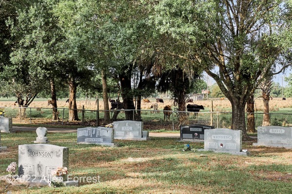 Wildwood Cemetery. Southwest side of Bartow, Florida.